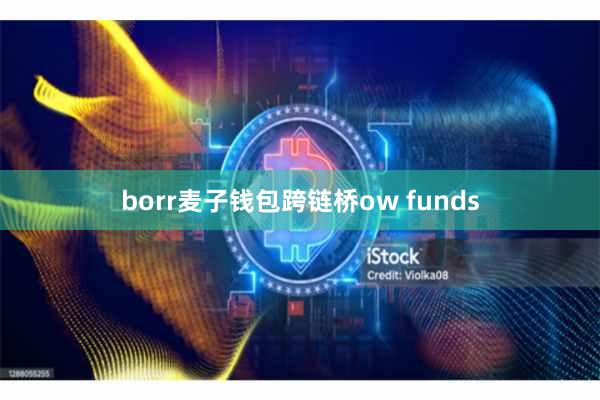 borr麦子钱包跨链桥ow funds