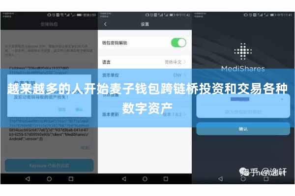 越来越多的人开始麦子钱包跨链桥投资和交易各种数字资产