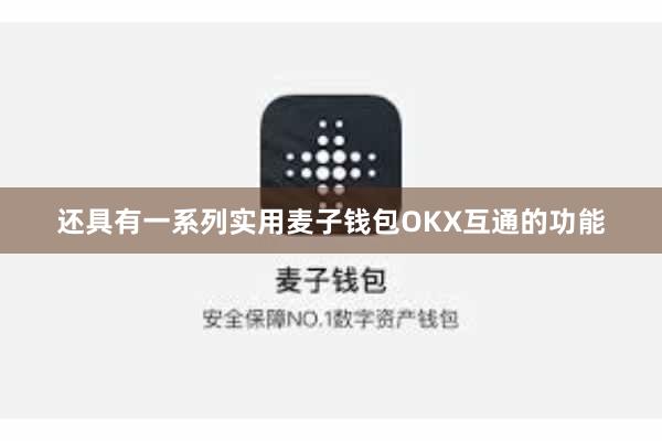 还具有一系列实用麦子钱包OKX互通的功能