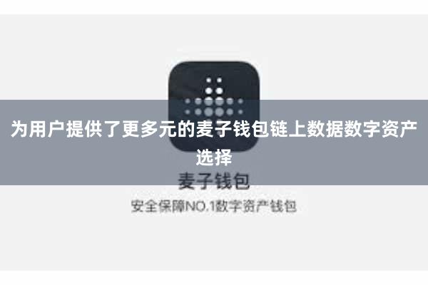 为用户提供了更多元的麦子钱包链上数据数字资产选择