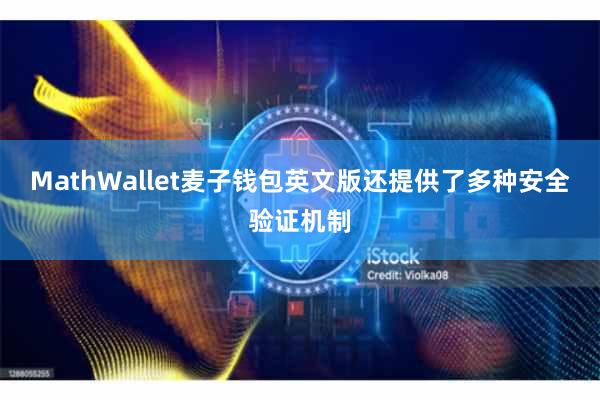 MathWallet麦子钱包英文版还提供了多种安全验证机制