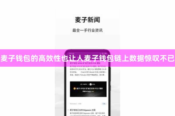 麦子钱包的高效性也让人麦子钱包链上数据惊叹不已