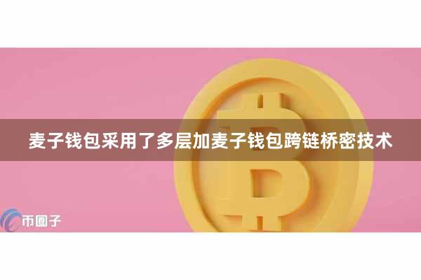 麦子钱包采用了多层加麦子钱包跨链桥密技术