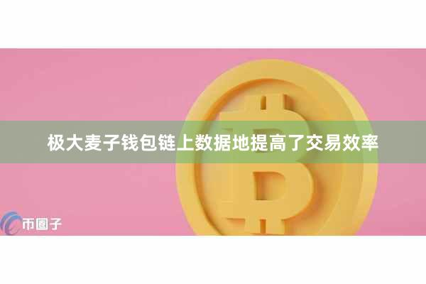 极大麦子钱包链上数据地提高了交易效率