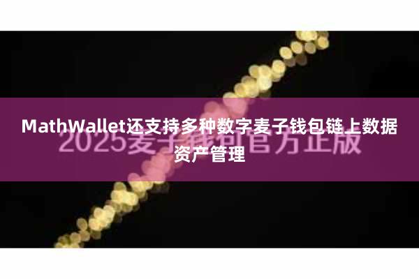 MathWallet还支持多种数字麦子钱包链上数据资产管理